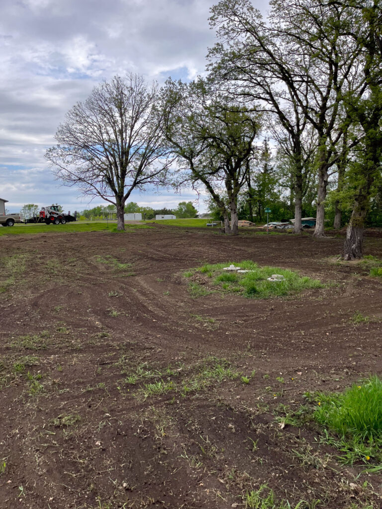 Backyard with open space and a few trees.
